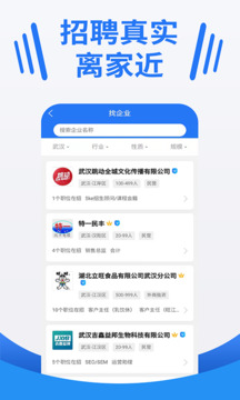 大楚人才网截图