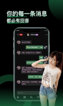 小回音截图