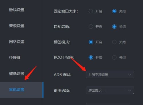 雷电模拟器怎么设置ADB调试-雷电模拟器设置ADB调试的方法插图