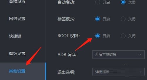 雷电模拟器在哪开启ROOT权限-开启ROOT权限的方法插图