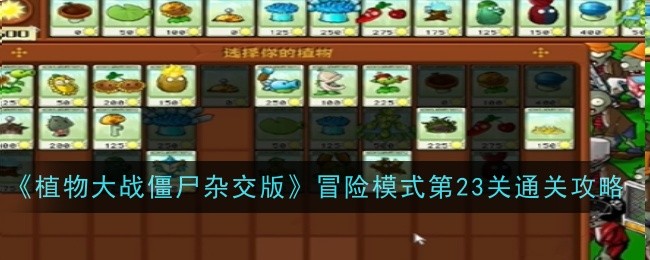 植物大战僵尸杂交版冒险模式第23关怎么通关-通关攻略