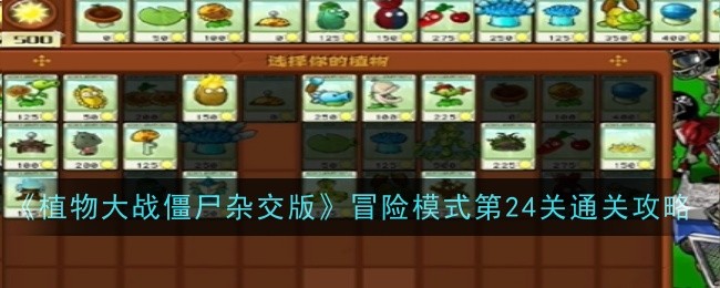 植物大战僵尸杂交版冒险模式第24关怎么通关-通关攻略