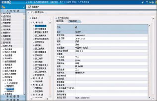 金蝶k3分销管理(金蝶K/3财务管理系统的功能模块有哪些?)