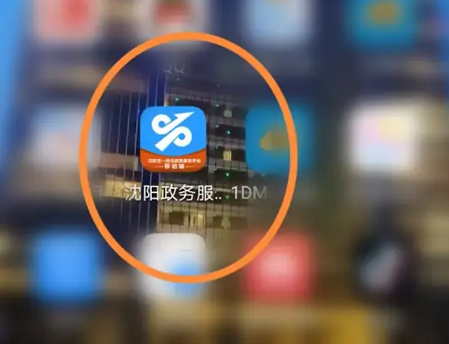 沈阳政务服务app怎么查询社保 沈阳政务服务查询社保补贴方法