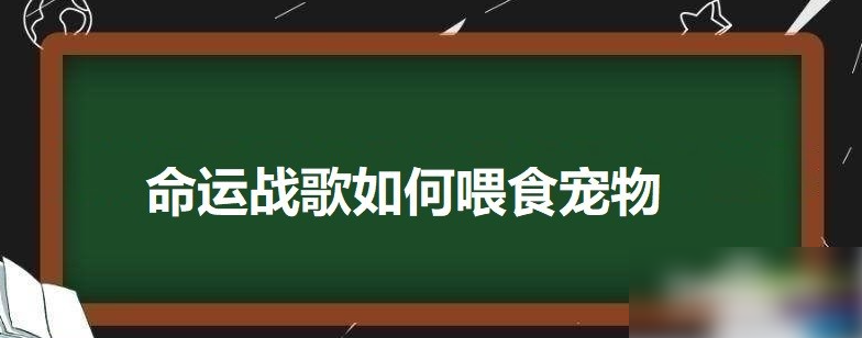 命运战歌如何喂食宠物 命运战歌喂食宠物如何操作