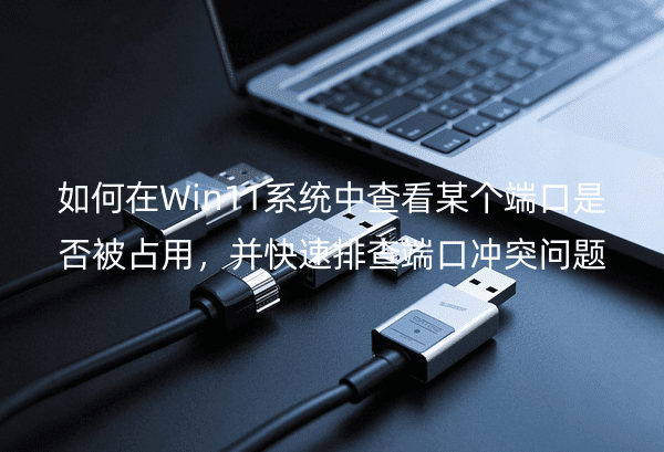 如何在Win11系统中查看某个端口是否被占用，并快速排查端口冲突问题