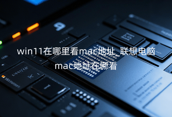 win11在哪里看mac地址_联想电脑mac地址在哪看